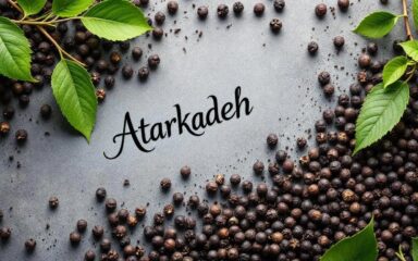 فلفل سیاه