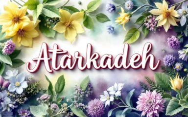 بهترین گیاهان دارویی برای تقویت سیستم ایمنی بدن